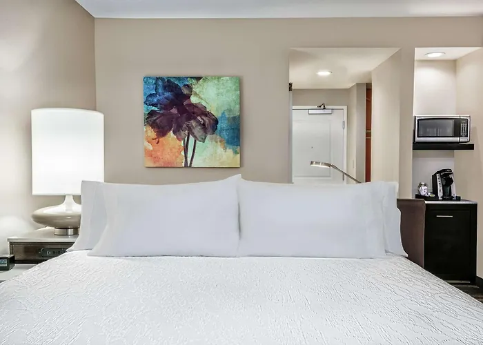 Hilton Garden Inn San Marcos